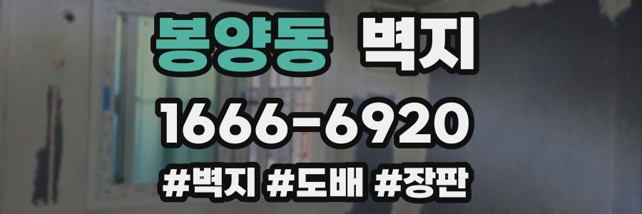 봉양동 벽지
