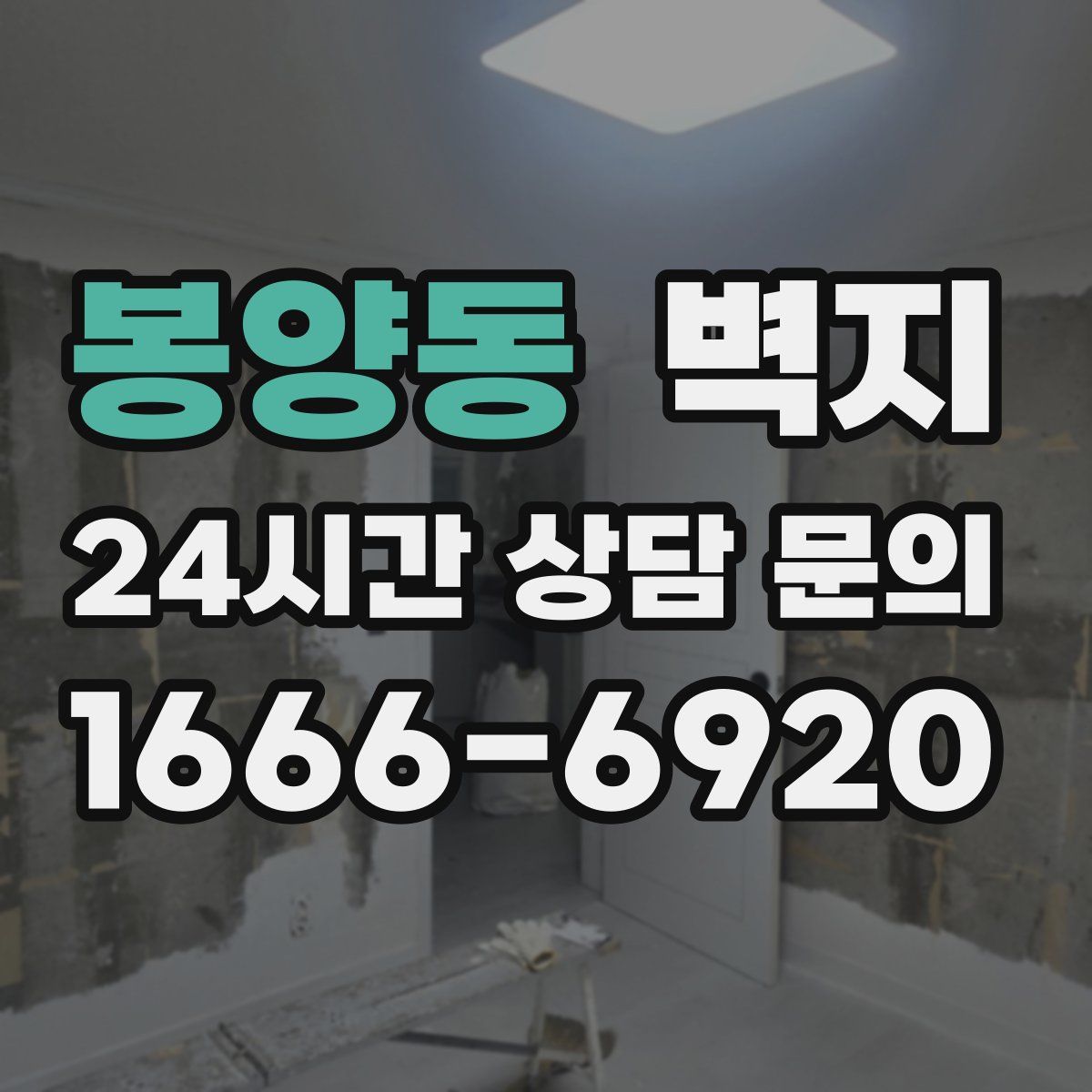봉양동 벽지