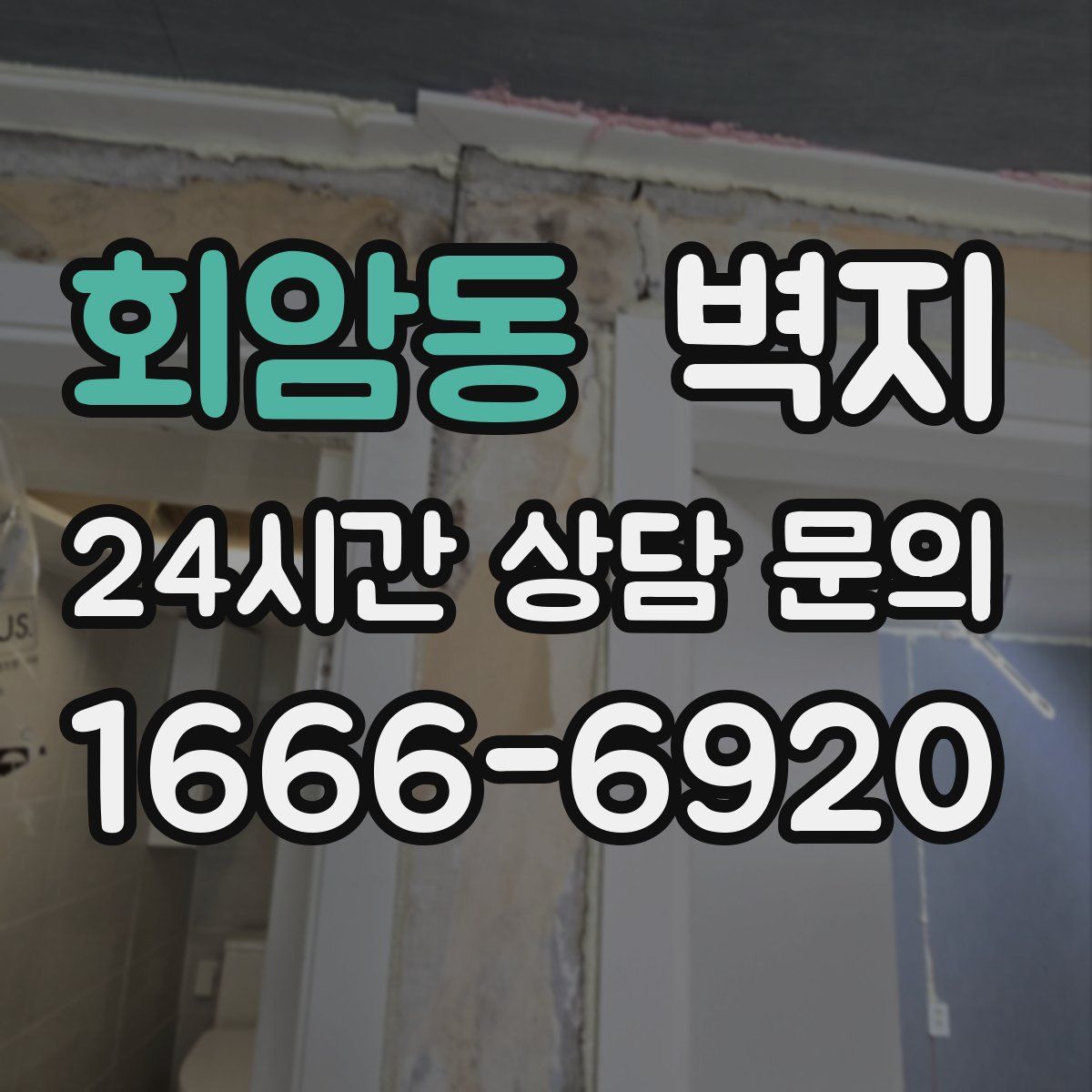 회암동 벽지