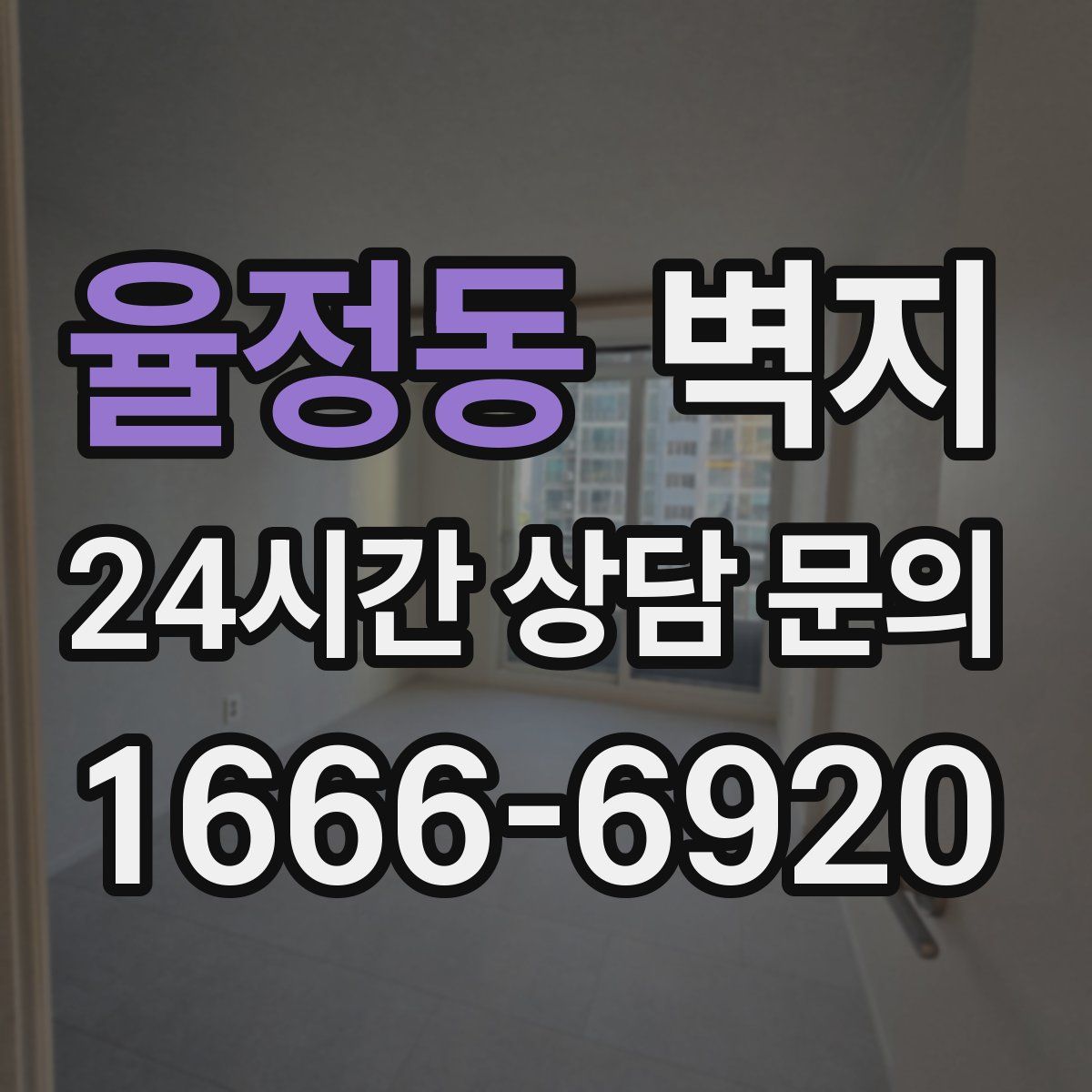 율정동 벽지