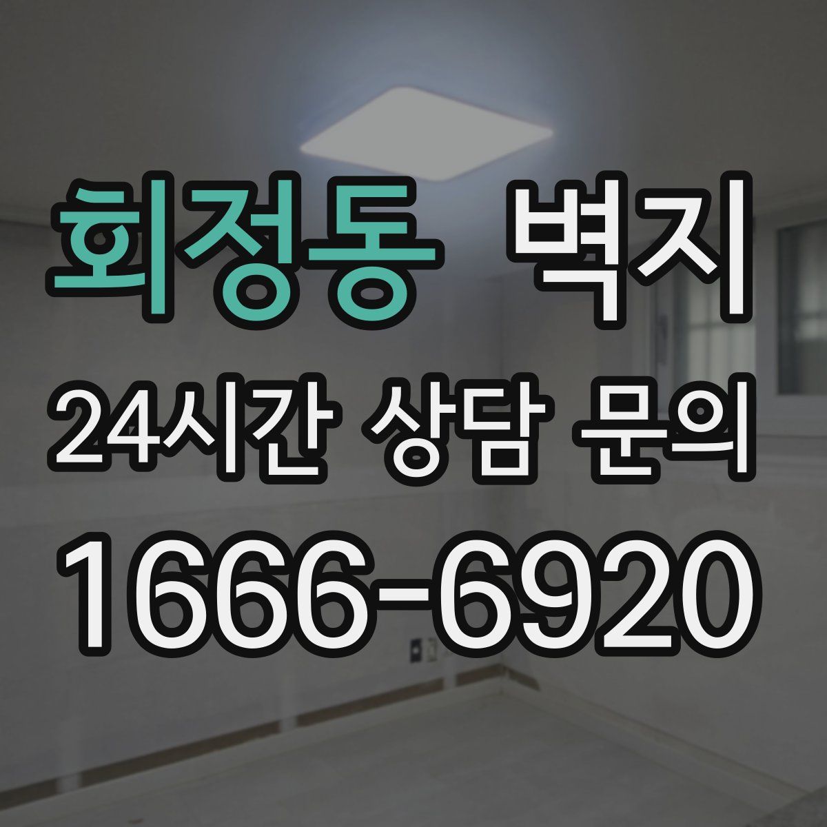 회정동 벽지