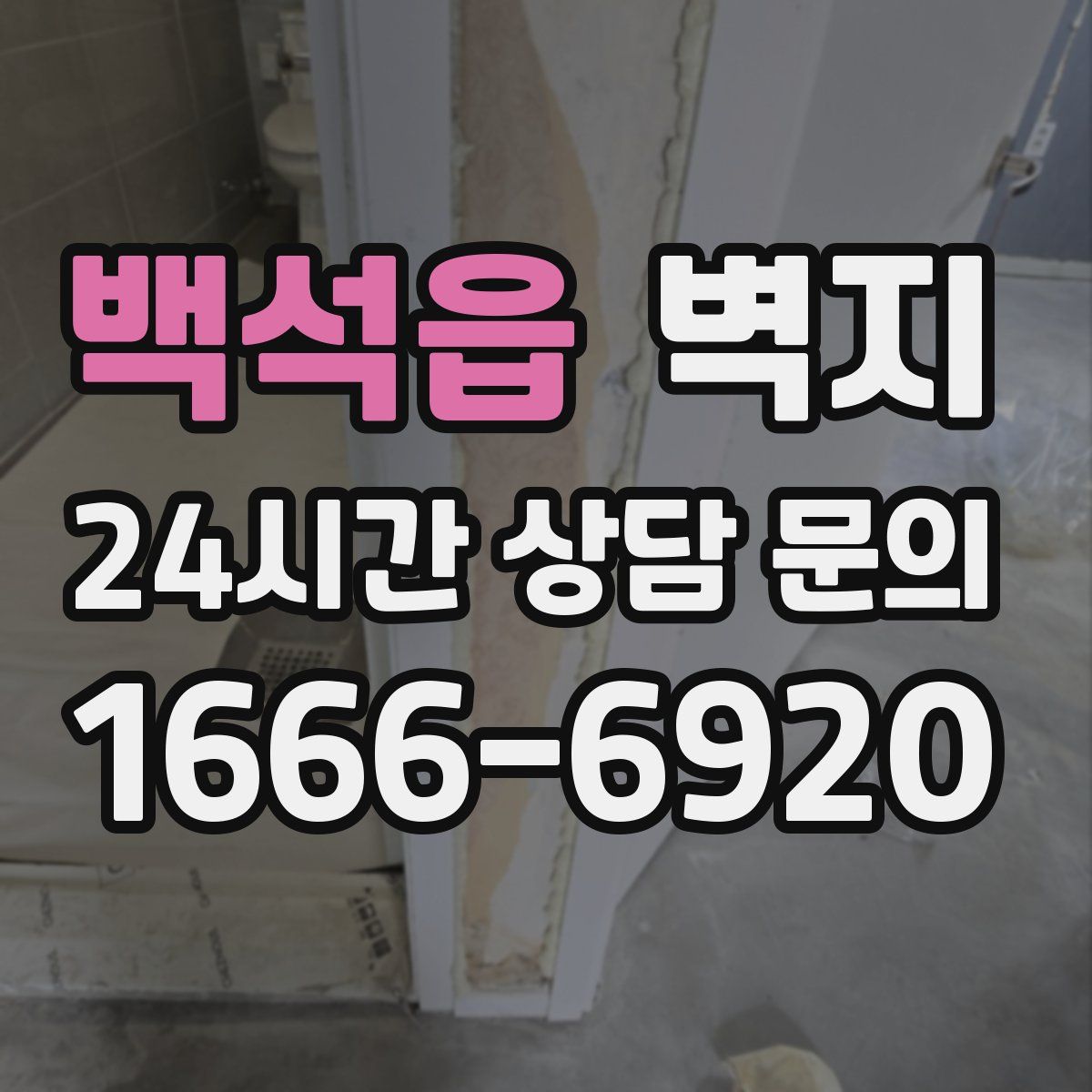 백석읍 벽지