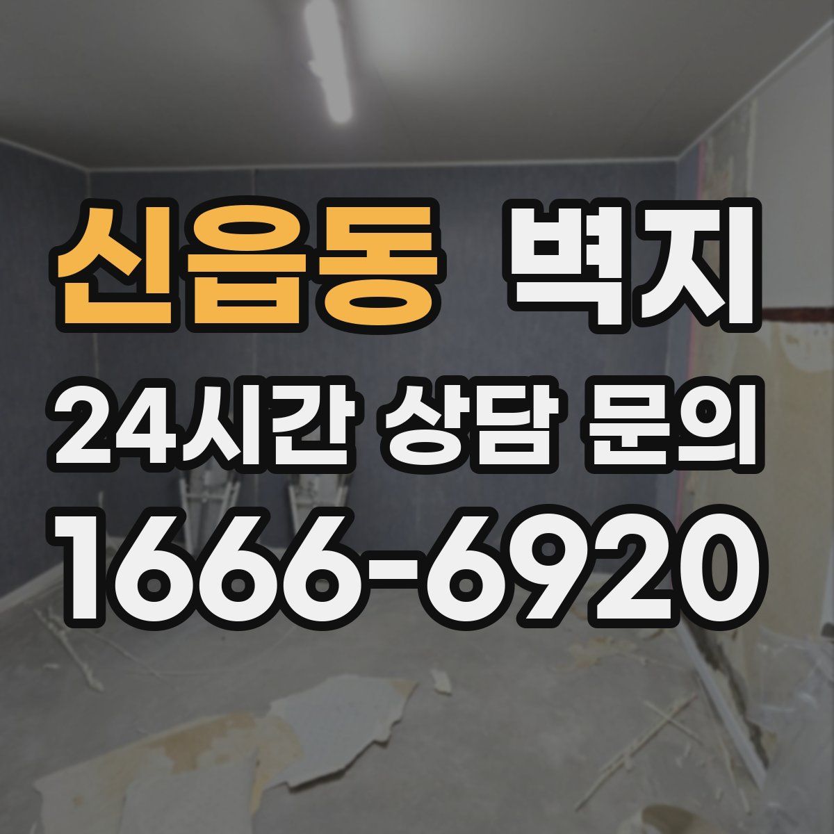 신읍동 벽지