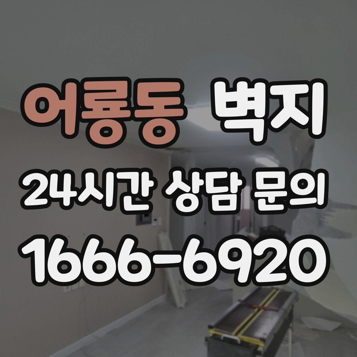 어룡동 벽지