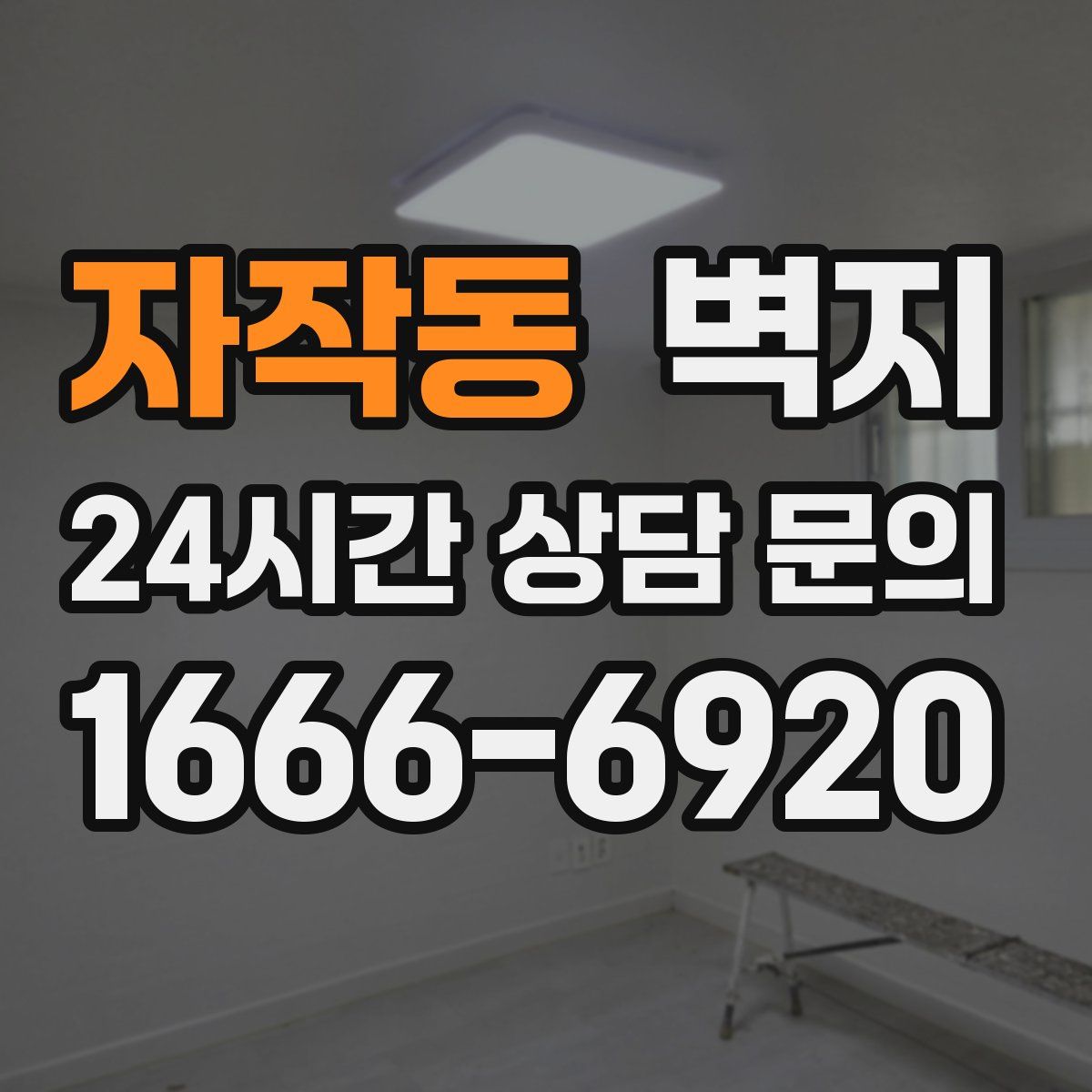 자작동 벽지
