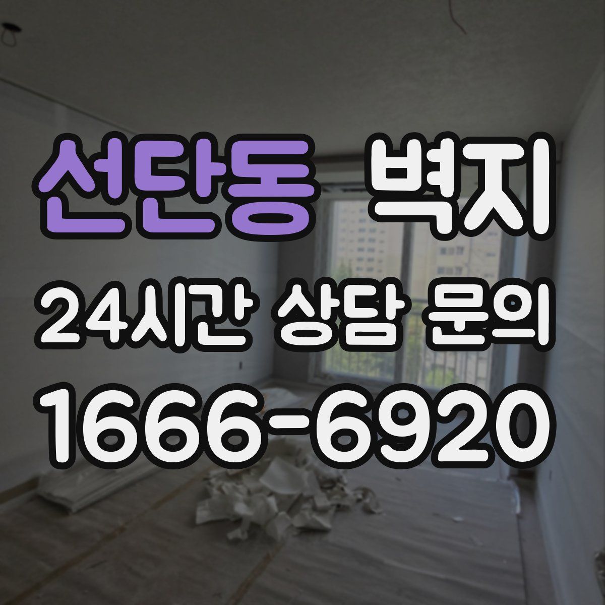 선단동 벽지