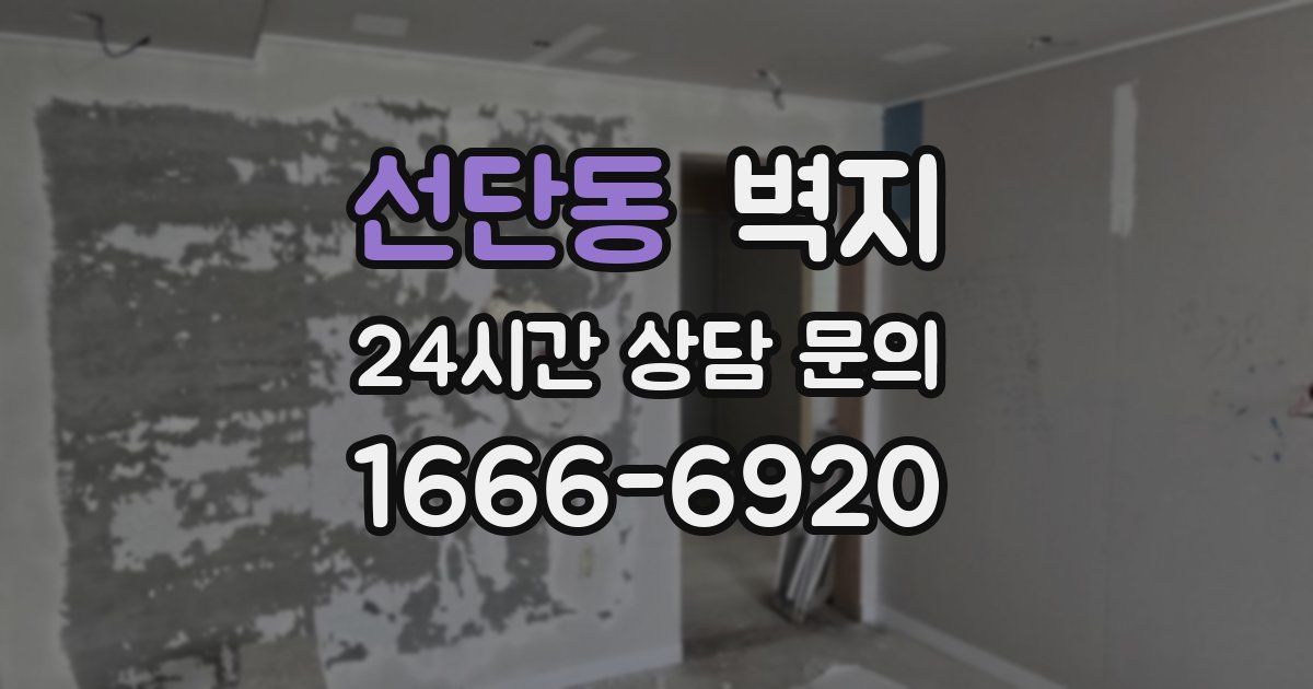 선단동 벽지