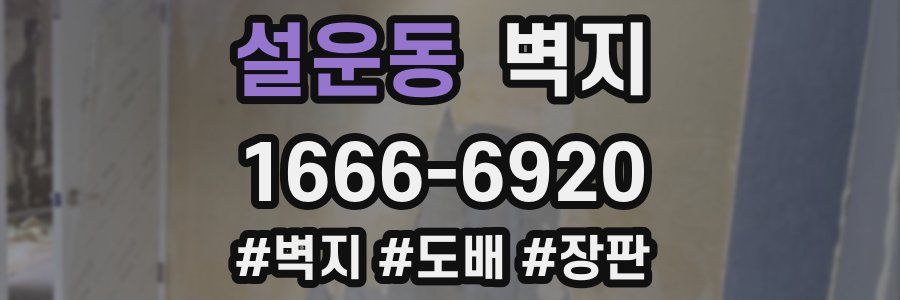 설운동 벽지