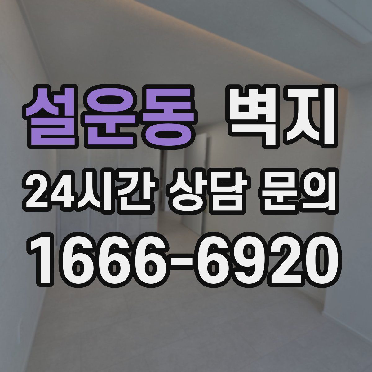 설운동 벽지