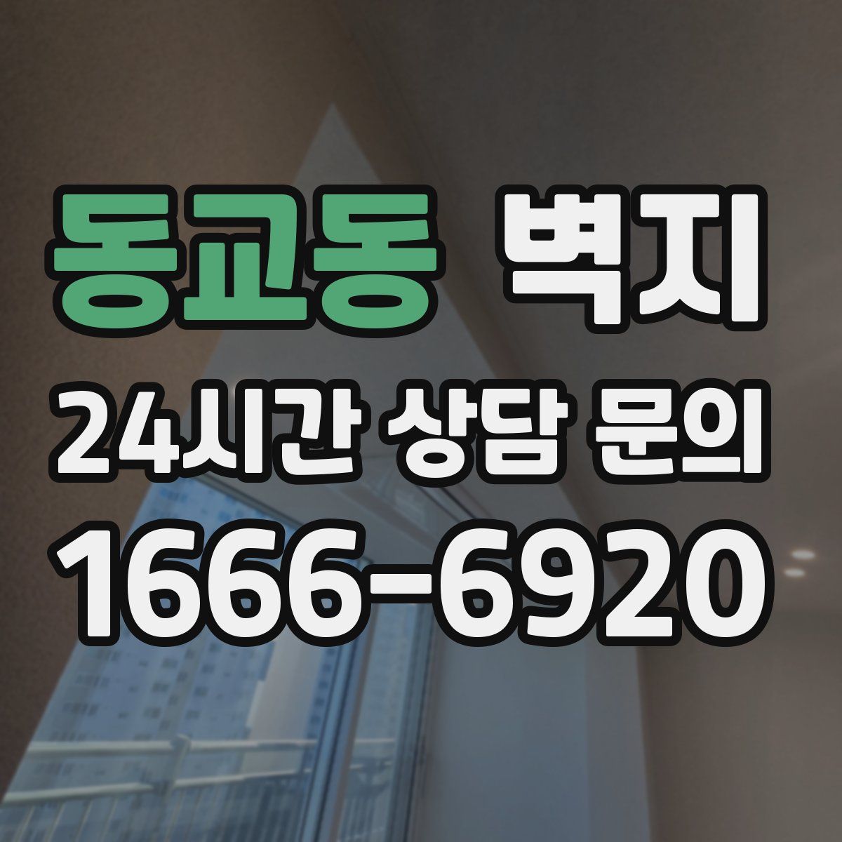동교동 벽지
