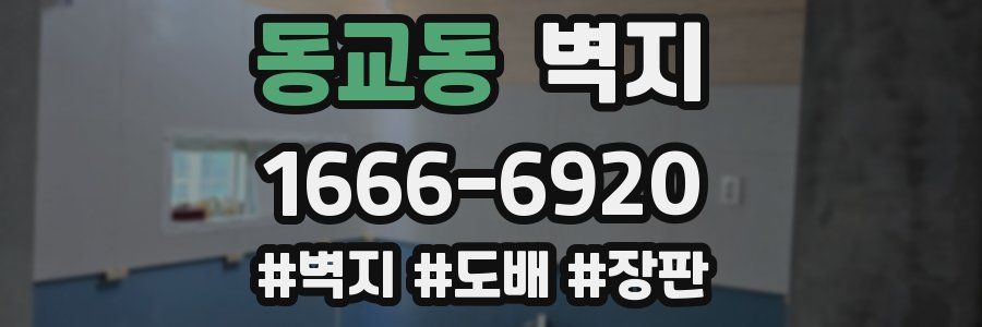 동교동 벽지