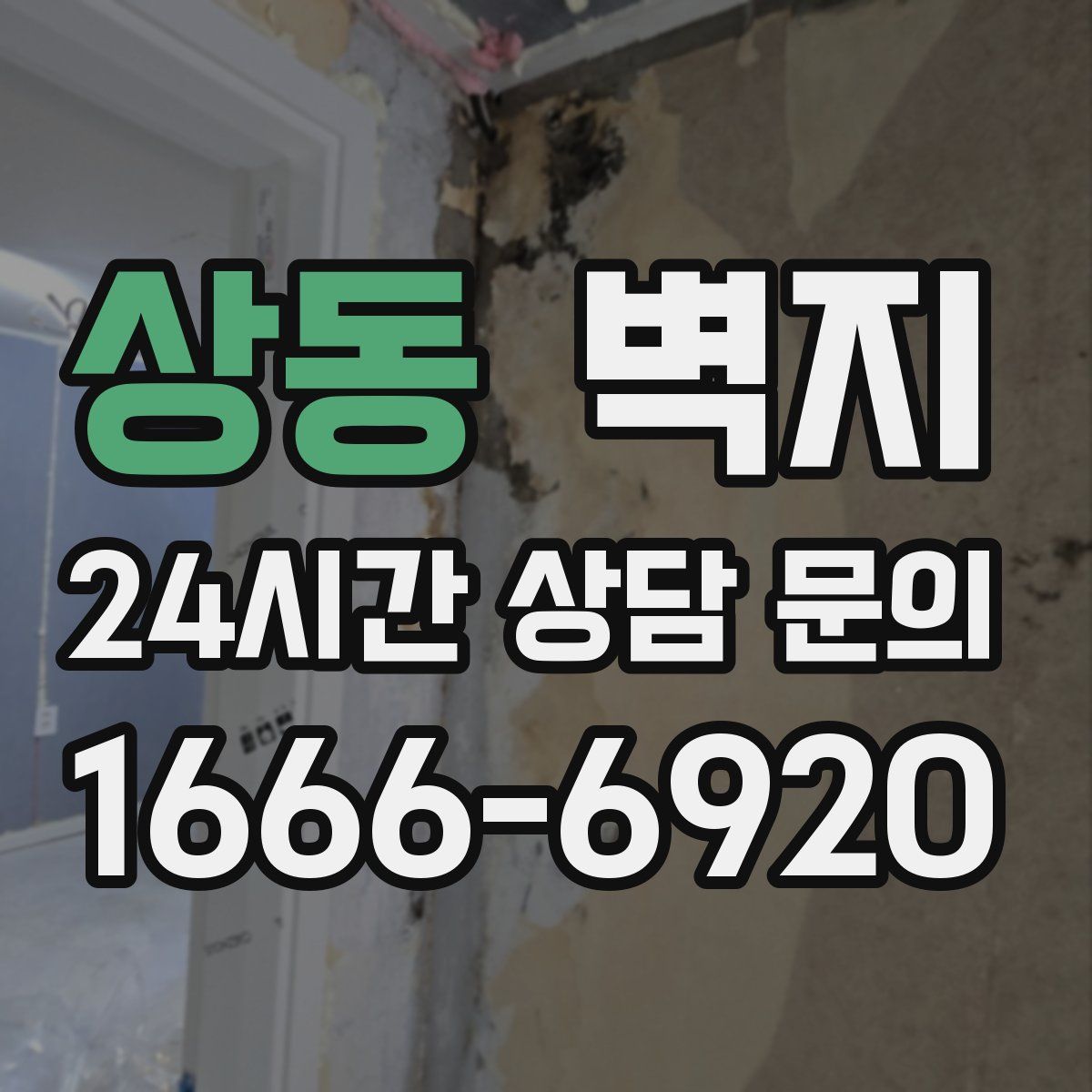 상동 벽지