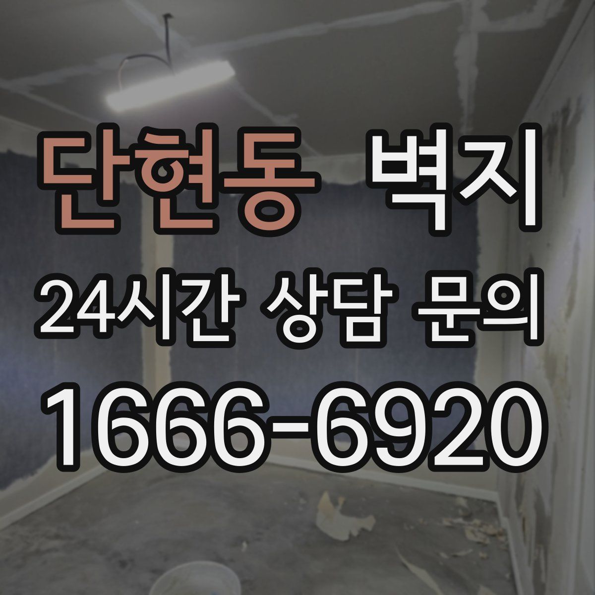 단현동 벽지