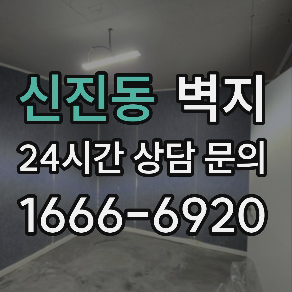 신진동 벽지