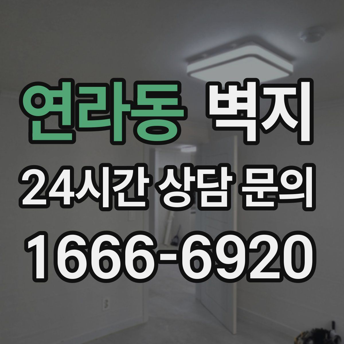 연라동 벽지