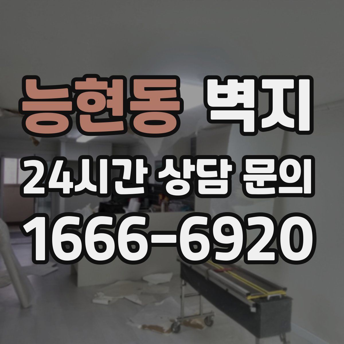 능현동 벽지
