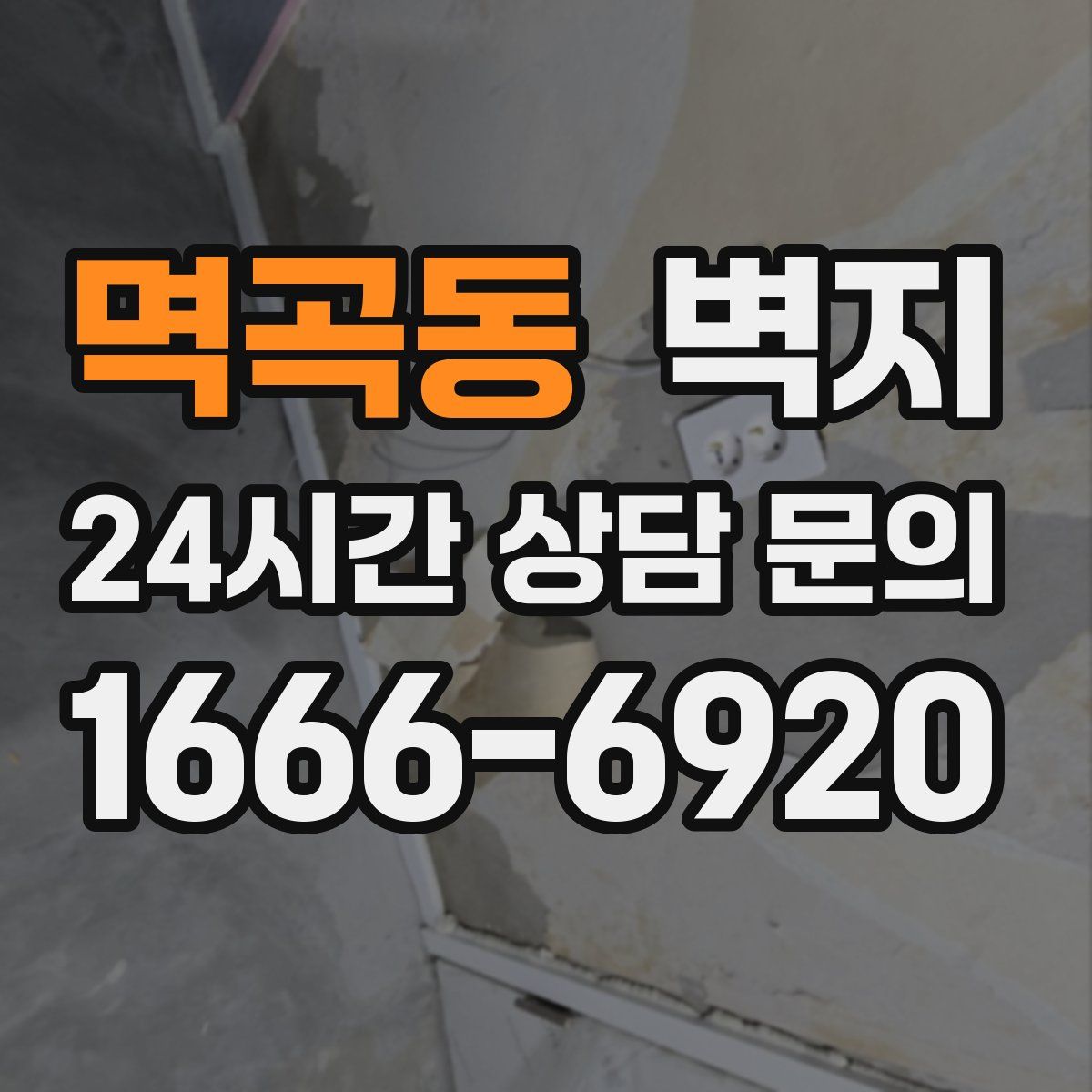 멱곡동 벽지