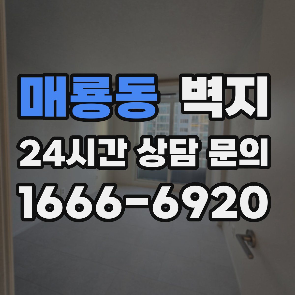 매룡동 벽지
