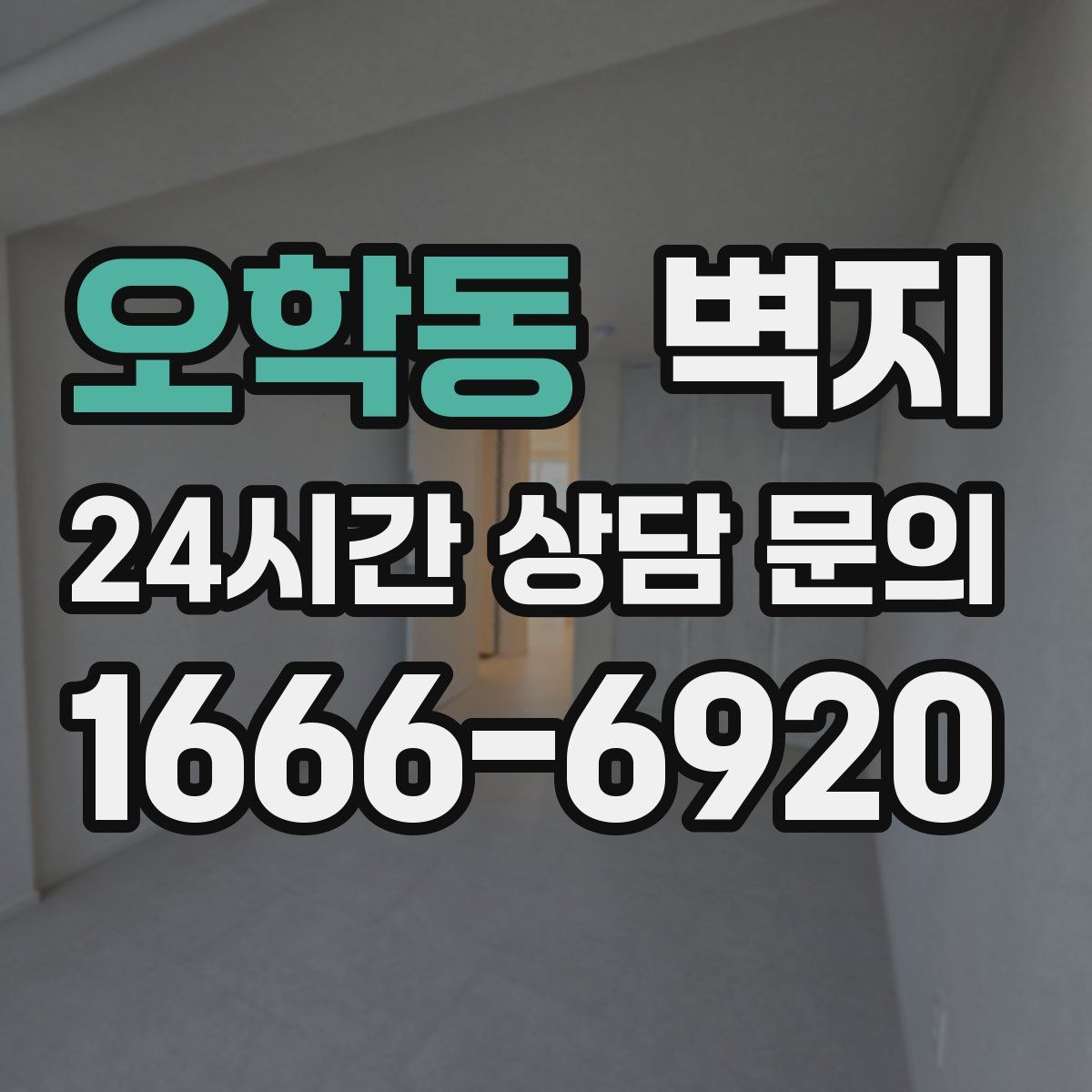 오학동 벽지