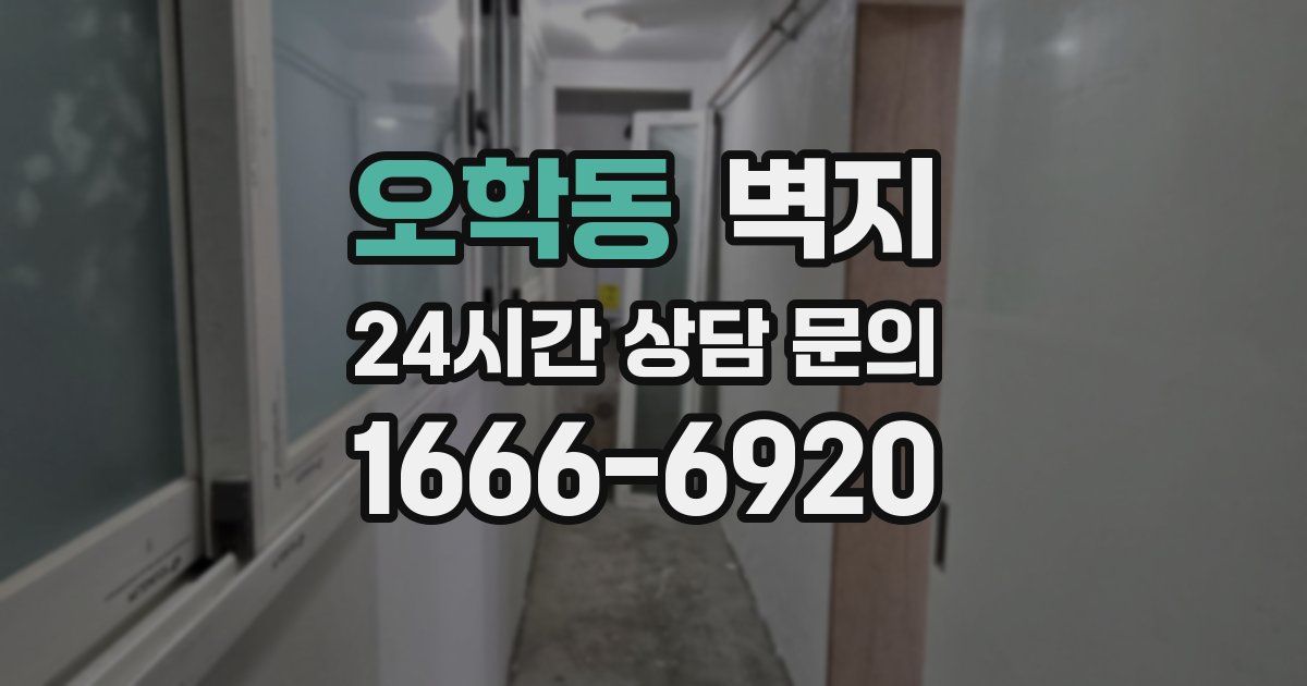 오학동 벽지