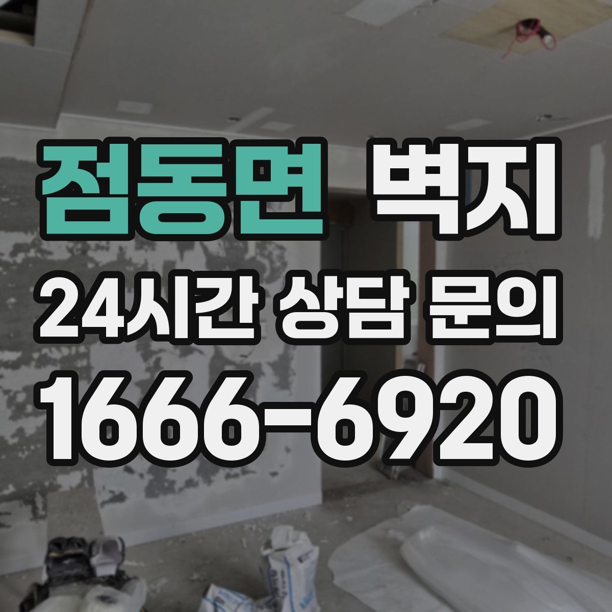 점동면 벽지