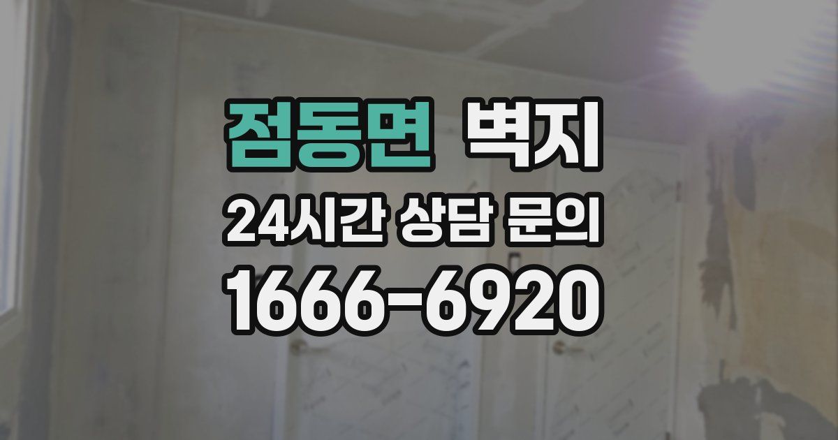 점동면 벽지