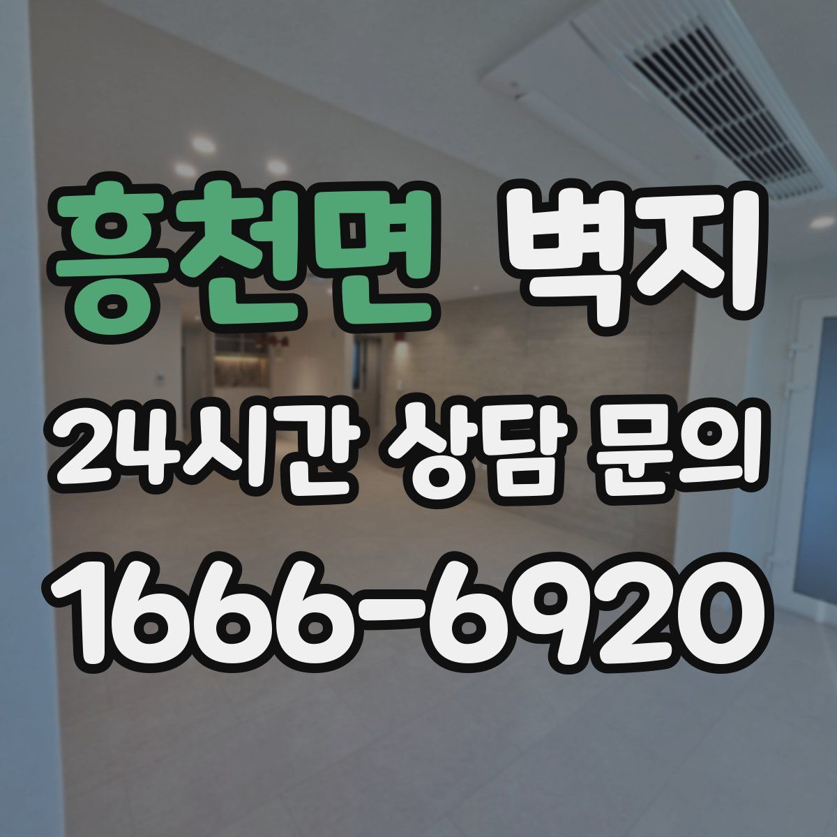 흥천면 벽지