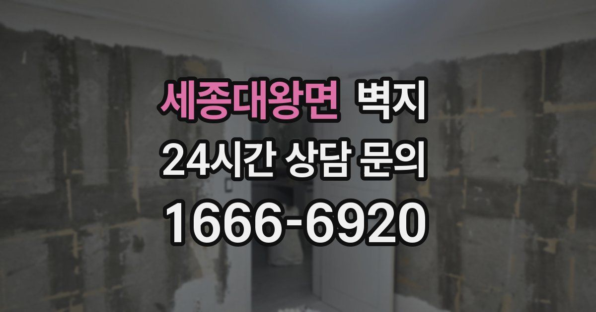 세종대왕면 벽지