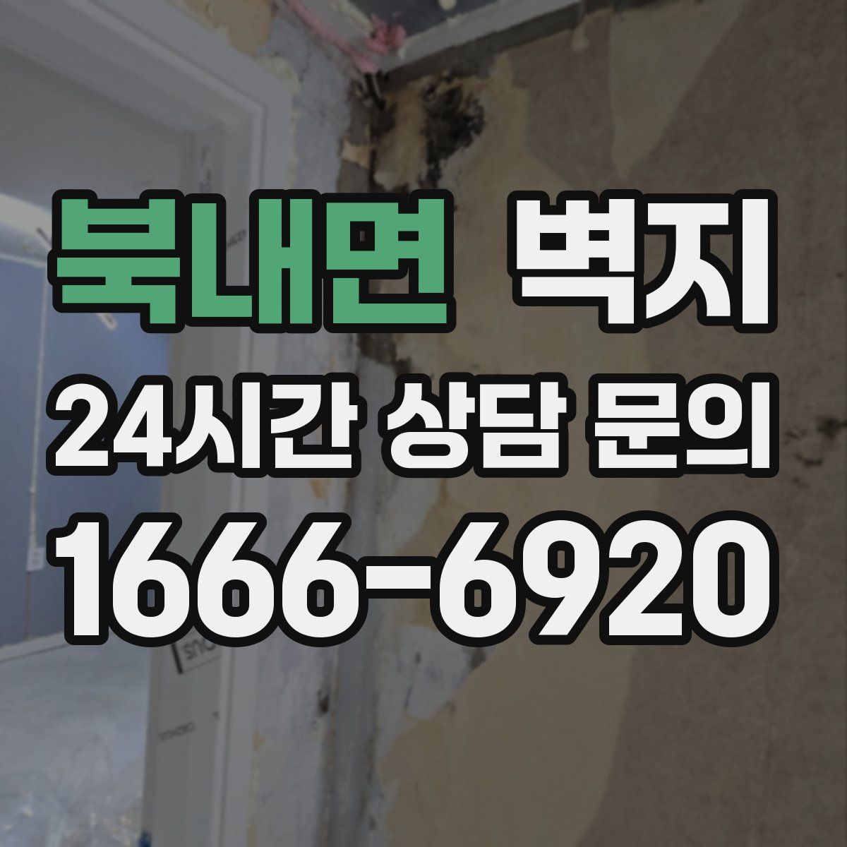 북내면 벽지