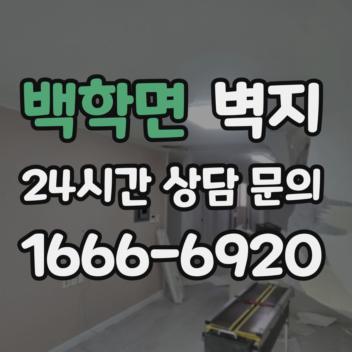 백학면 벽지