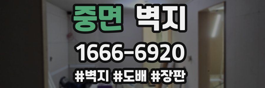 중면 벽지