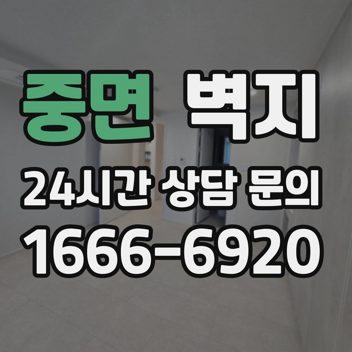 중면 벽지