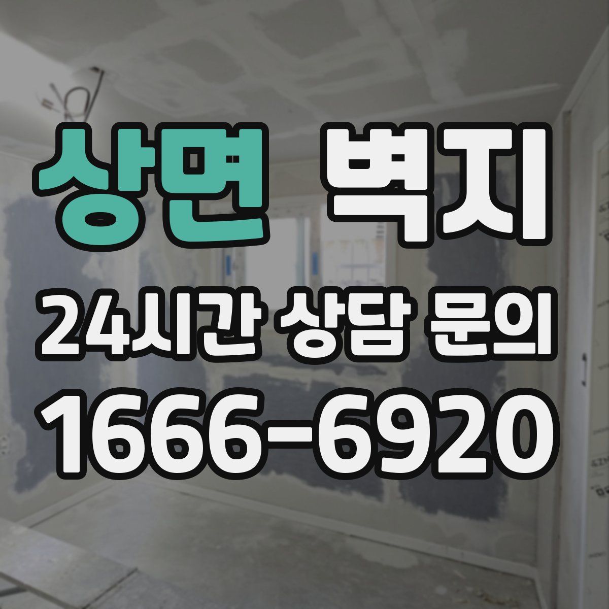 상면 벽지