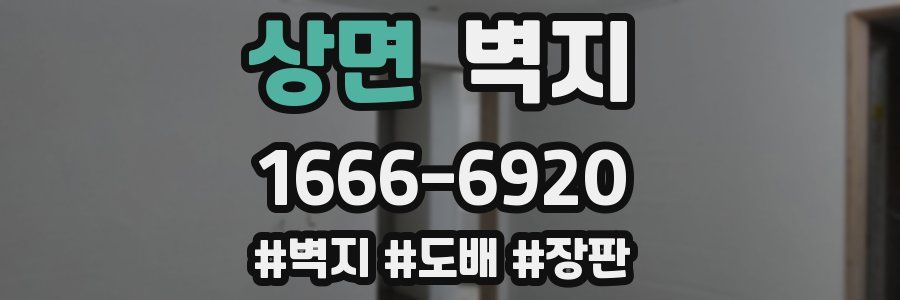 상면 벽지