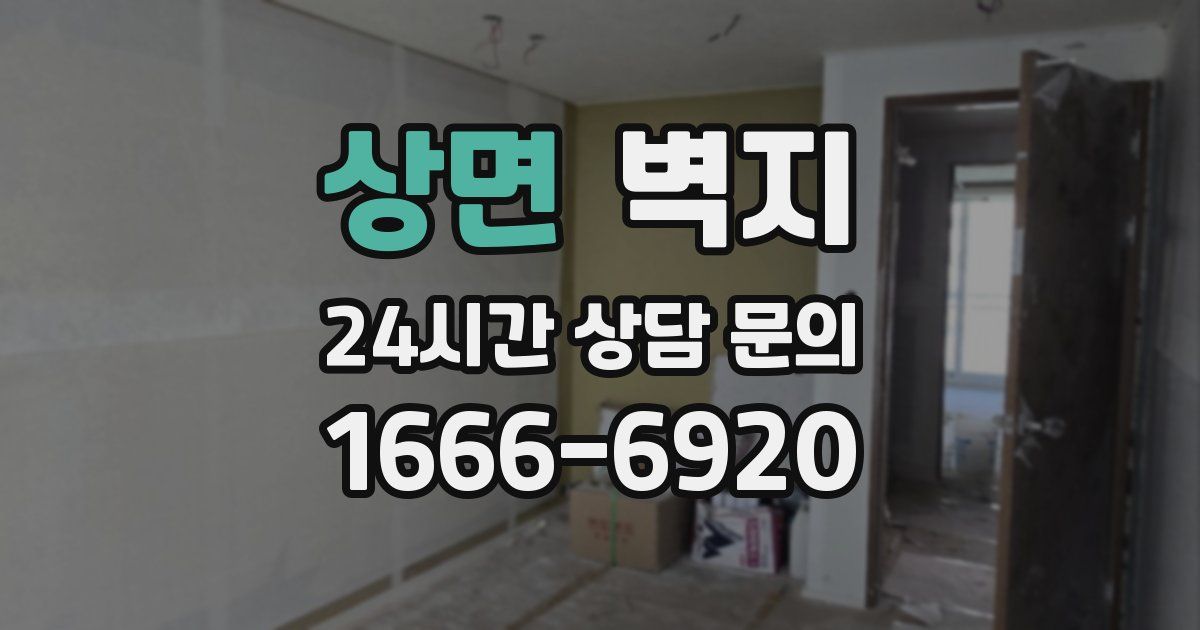 상면 벽지