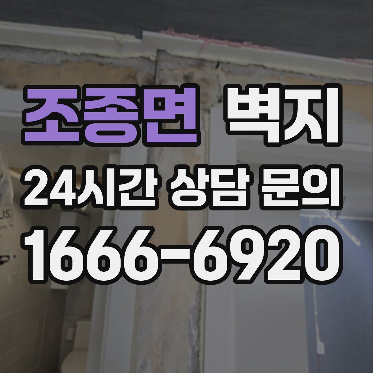 조종면 벽지