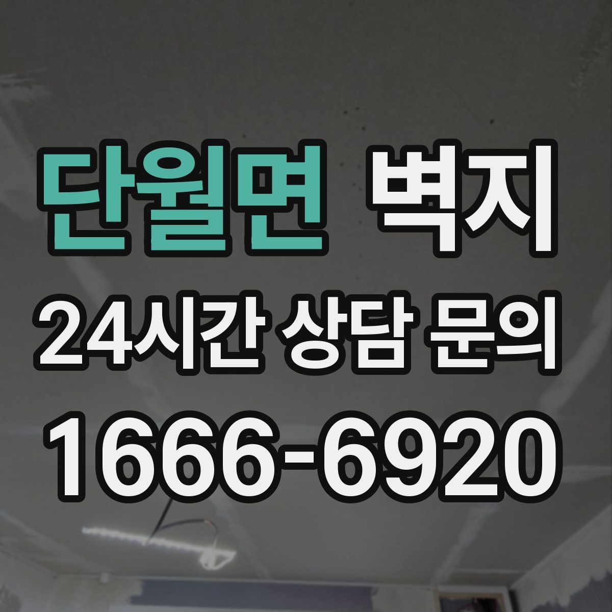 단월면 벽지