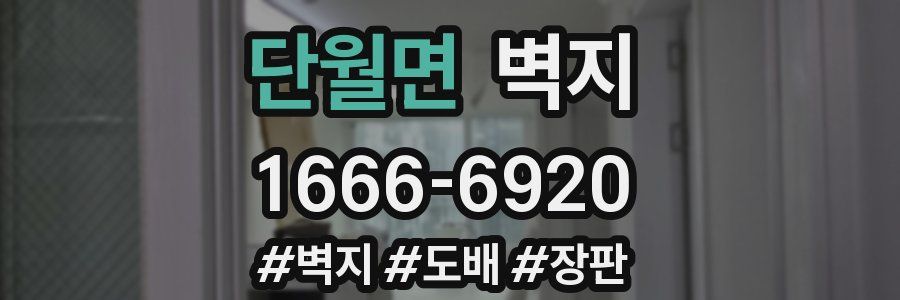 단월면 벽지
