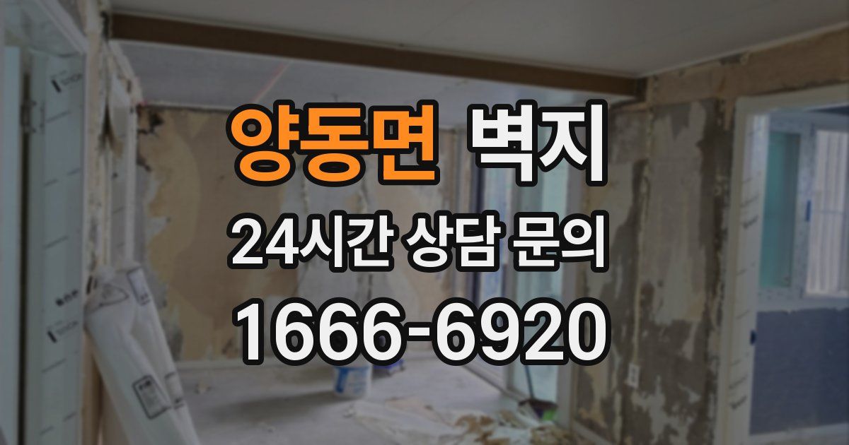 양동면 벽지