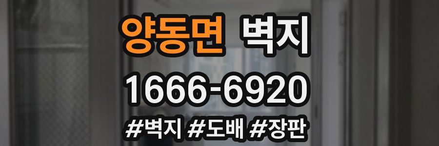 양동면 벽지