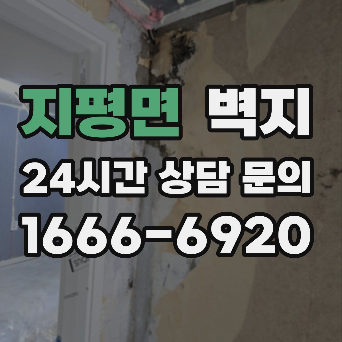 지평면 벽지