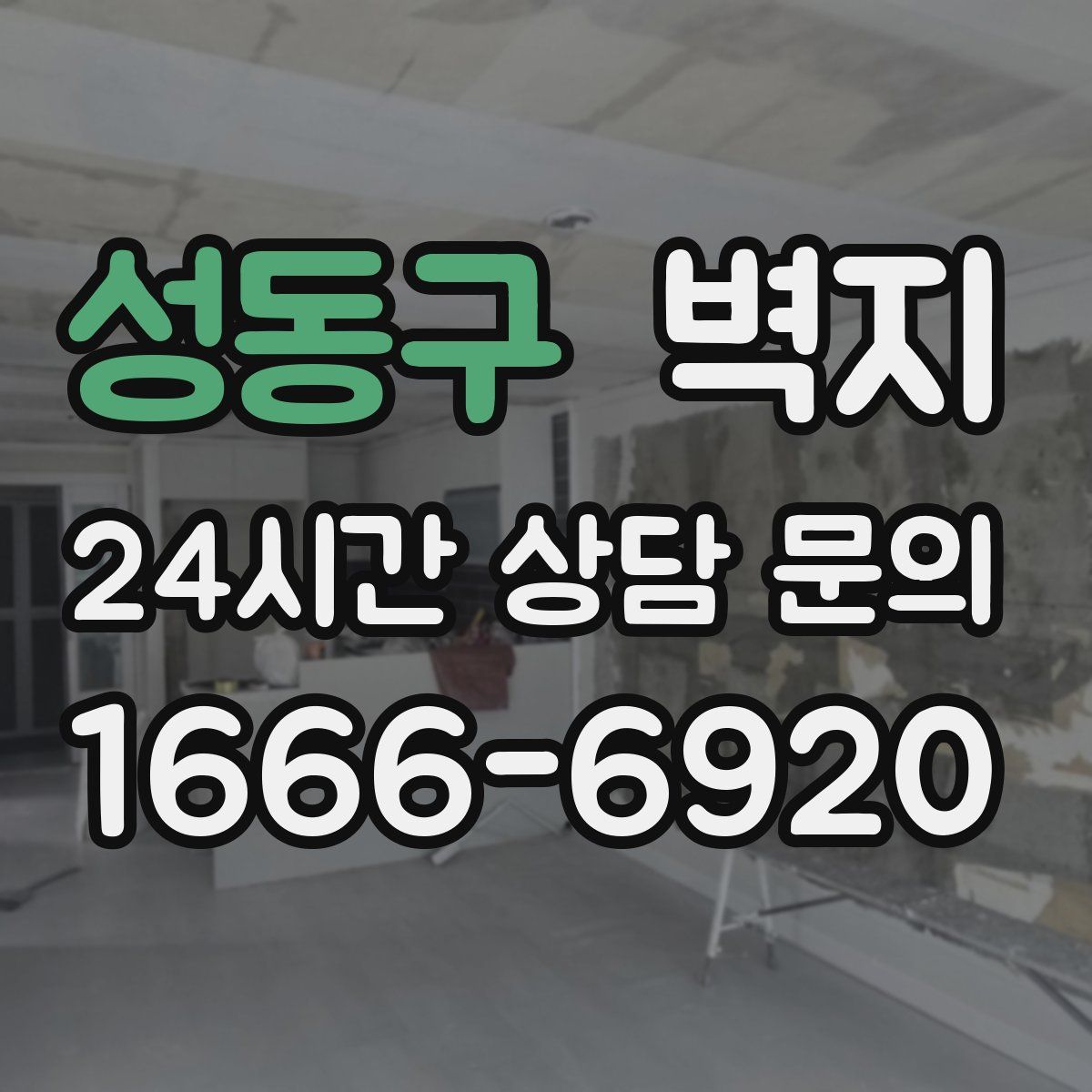 성동구 벽지