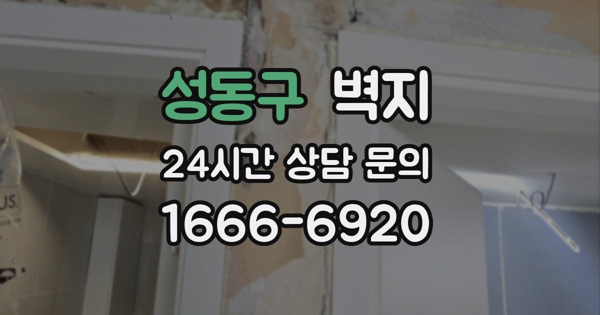 성동구 벽지