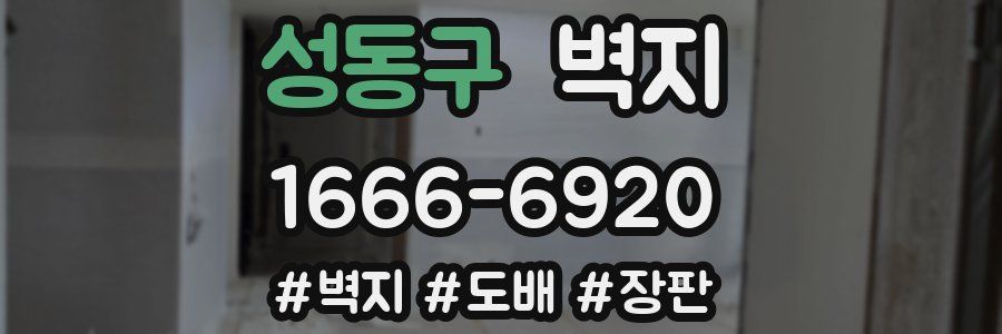 성동구 벽지