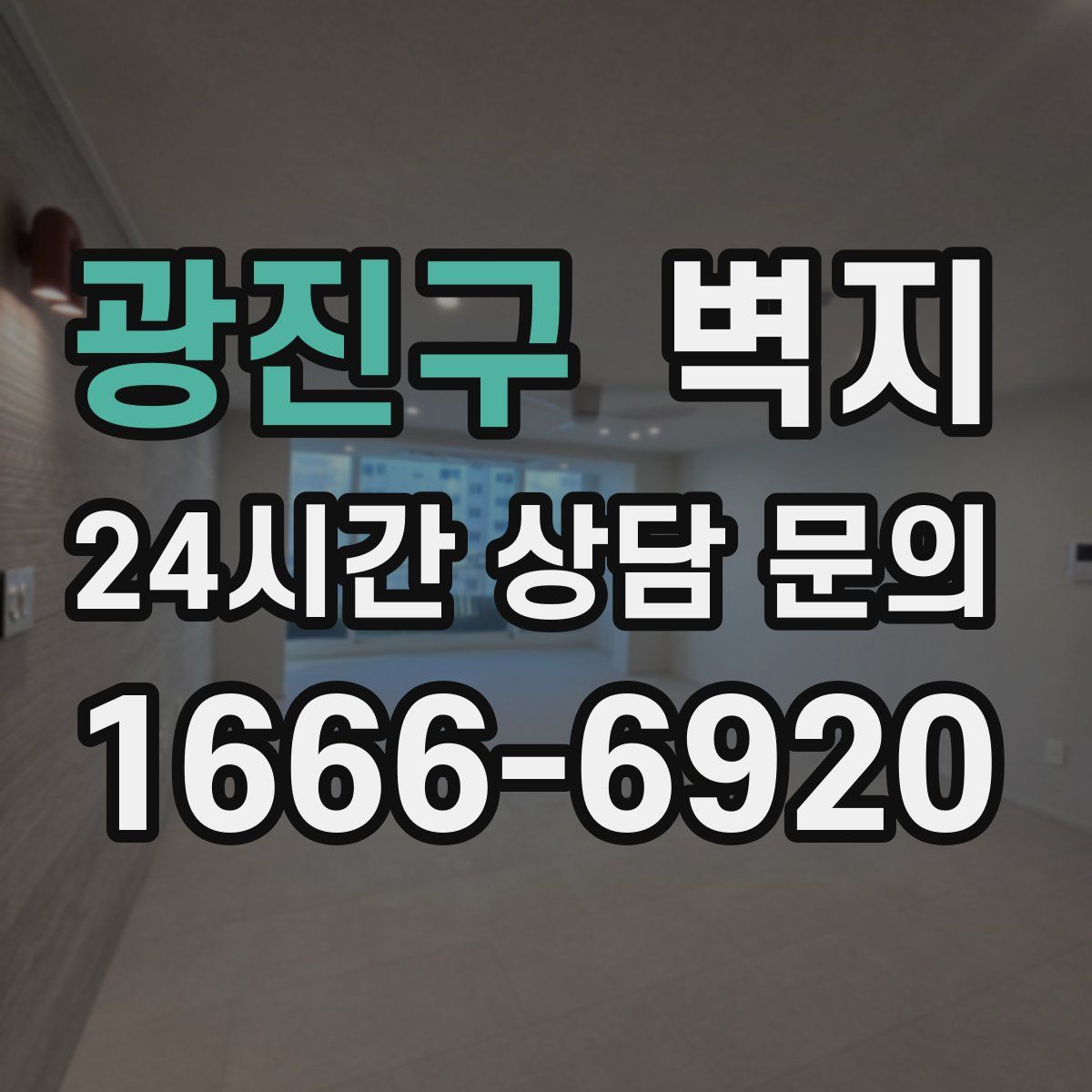 광진구 벽지