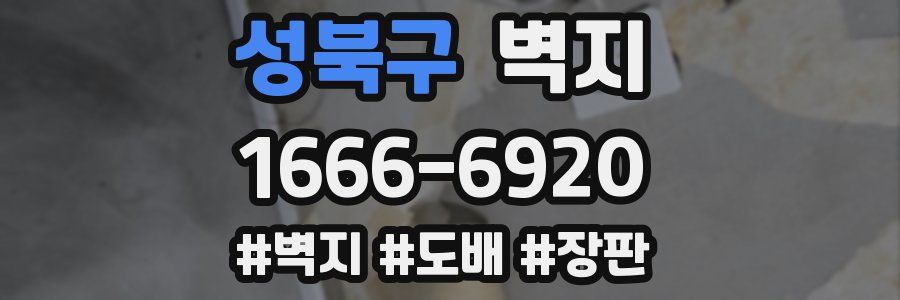 성북구 벽지