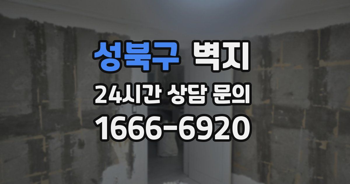 성북구 벽지