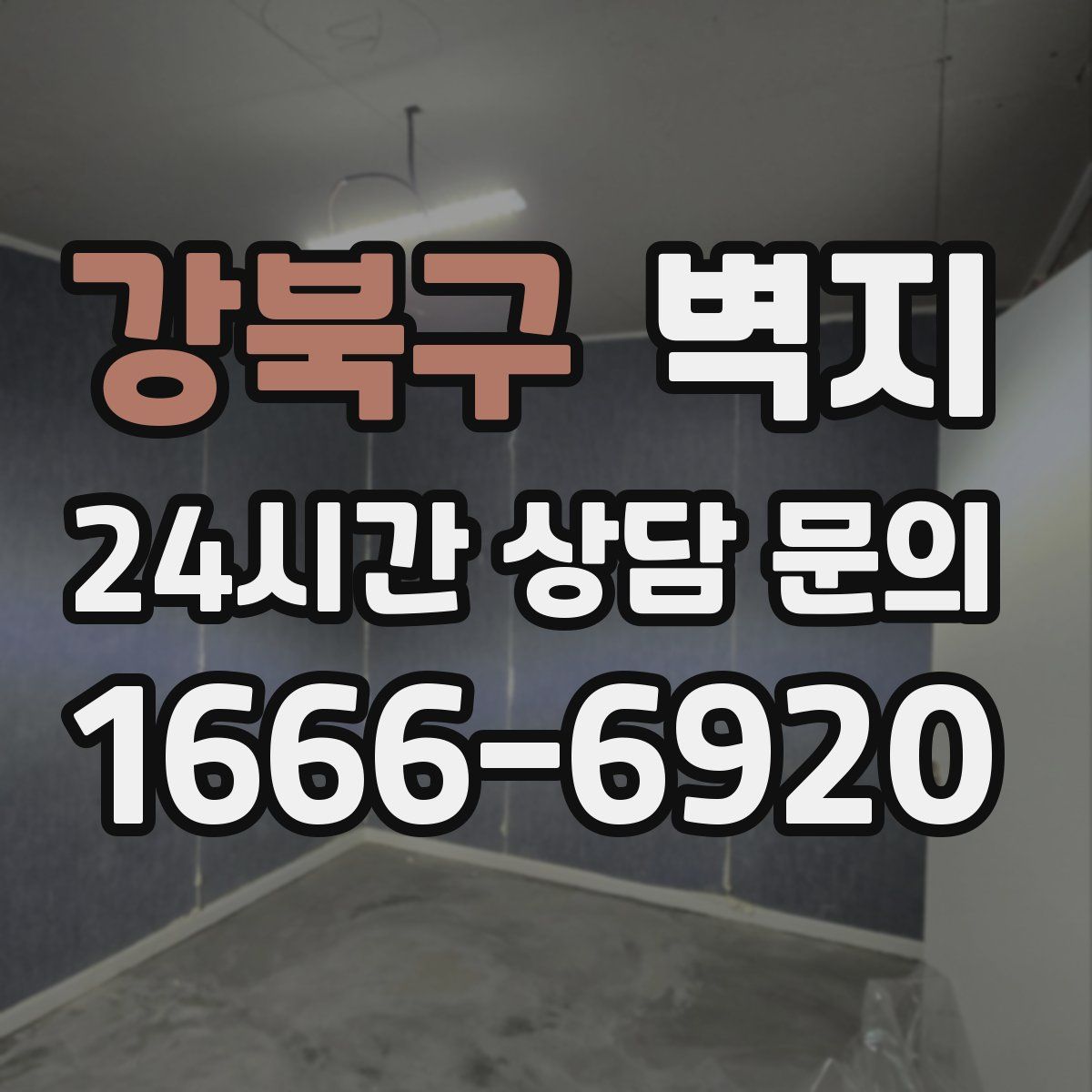 강북구 벽지