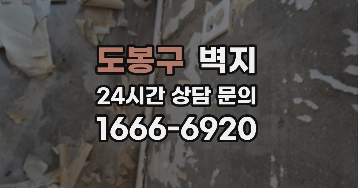 도봉구 벽지