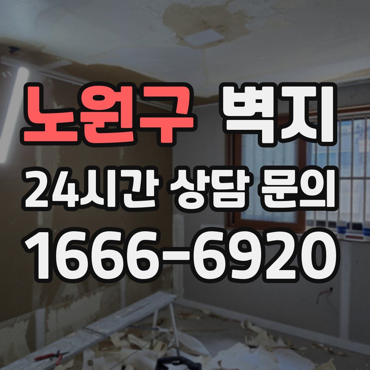 노원구 벽지